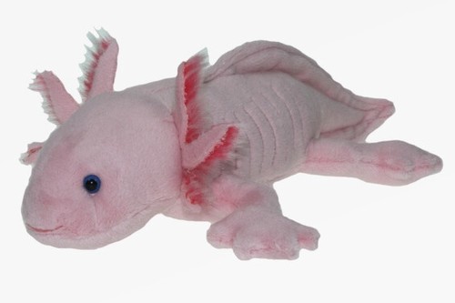 Plüschtier axolotl cm - plüschtier,