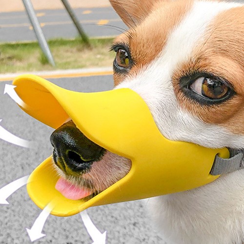 Maulkorb für hunde - maulkorb,