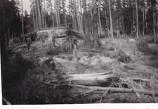 Foto - Bunker Stellung in Russland - 2.WK