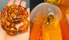 Bernstein Halskette mit