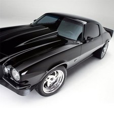 Windschutzscheibe Frontscheibe Chevrolet S10 Blazer S10 Pickup Baujahr 94-03 