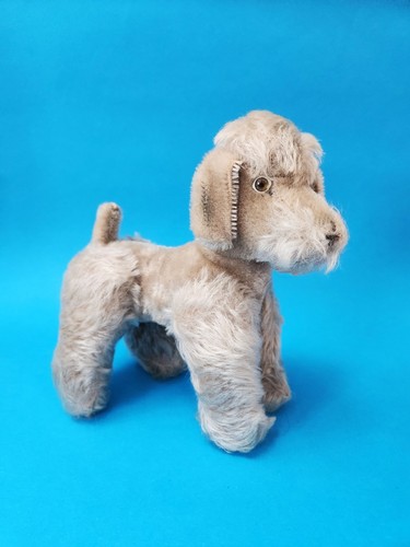 Alter pudel hund hermann - alter,