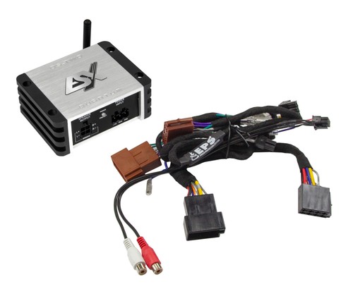 Esx two iso - esx, 2-kanal