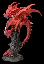 Drachen Figur auf Ruine - Draconic Roots - Gothic Fantasy Deko Dragon H: 28 cm