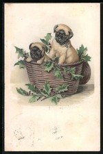 Zwei Boxerwelpen in einem Korb mit Stechpalme, Ansichtskarte 