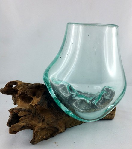 Wurzel mit glas größe ca - wurzel,