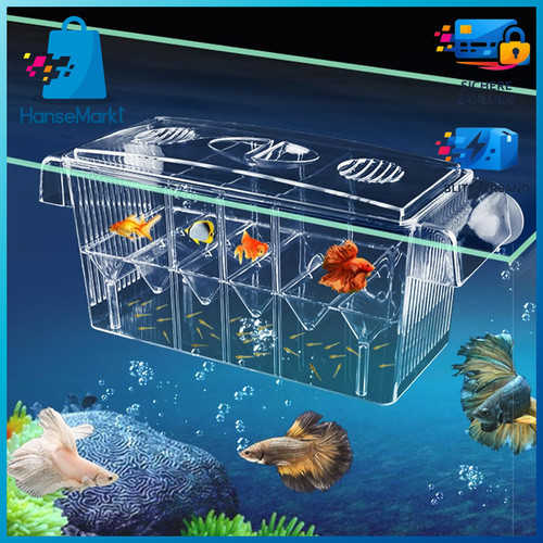 Ablaichkasten aquarium - ablaichkasten,