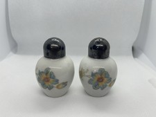 Rosenthal Thomas Germany Porzellan Salzstreuer - 2-teilig