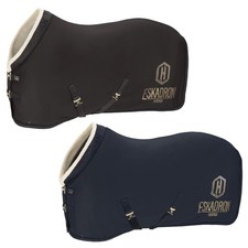 Eskadron Heritage Aerial