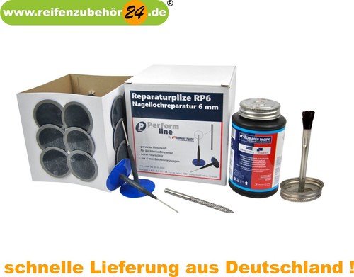 Schrader pilze minicombi - minicombi, a6
