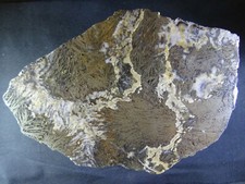 Federpyrit XXL , Neudorf 