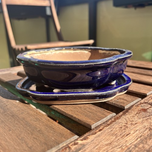 Bonsaischale blau dunkelblau - bonsaischale,