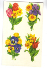 DDR Abziehbilder Schiebebilder