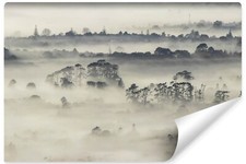 Selbstklebende Fototapete WALD