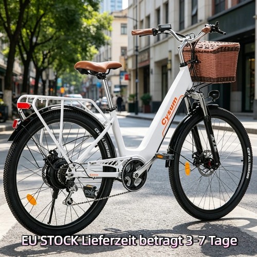 250w36v10ah citybike für - 250w36v10ah, e-citybike