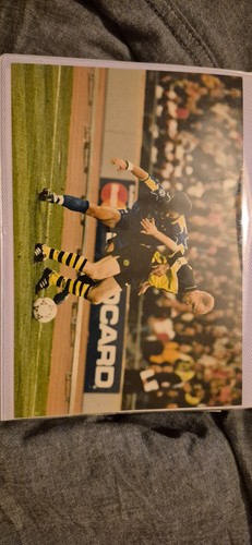 Bvb bildband fotografie - bvb,