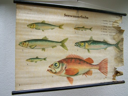 Alte lehrtafel wandkarte - alte,