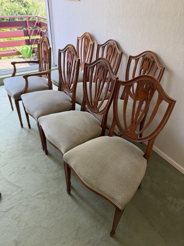 Esszimmer stühle massivholz - stühle,