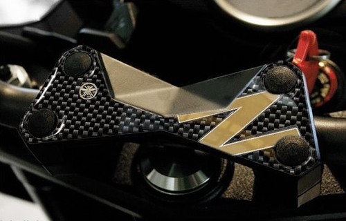 Schutz platte gabel - 3d,