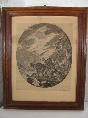 Johannes elias ridinger 1698 - 1698,