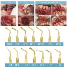 Woodpecker US-II LED Dental