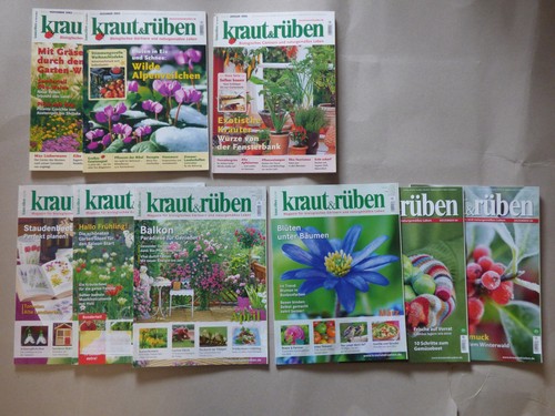 Kraut rüben 9 einzelne - rüben,