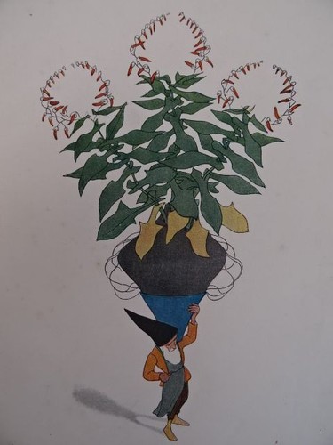 Kreidolf wiesenzwerge - kreidolf,