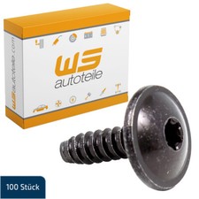 100x TORX Schraube Karosserie
