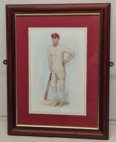Druck bord cricket - druck,