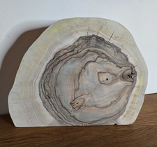 Nussbaum Baumscheibe massiv