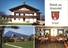 Koppl Bauernhof Ortsansichten