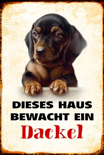 Blechschild 18x12 hund dieses - hund,