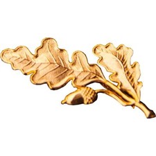 Eichenlaub groß als Anstecker