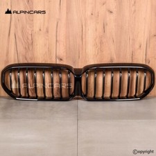 OEM BMW G30 G31 LCI Ziergitter