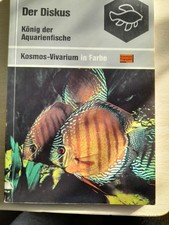 Der Diskus, König der