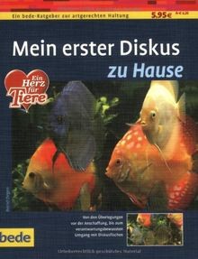 Diskus hause ein - hause:,