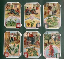 Liebig Sammelbilder 6 Bilder