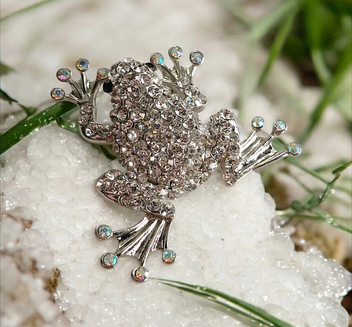 Eine brosche frosch - ,