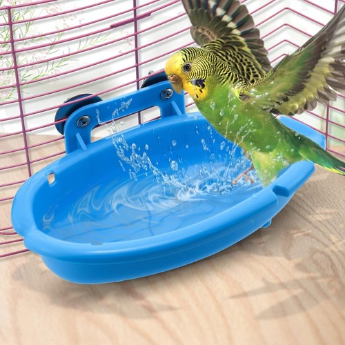 Vogel dusche für - dusche,