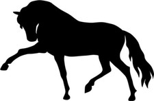 Aufkleber Pferd