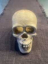 Totenkopf deko klein Halloween vintage DIY  + Sammlerstück