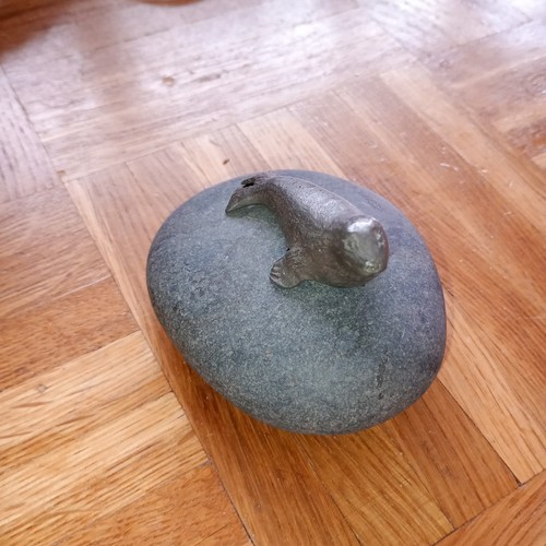 Seehund auf stein sitzend - stein,