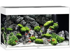 Aquarium JUWEL Rio 125 mit LED-Beleuchtung, Pumpe, Filter, Heizer ohne Unterschr