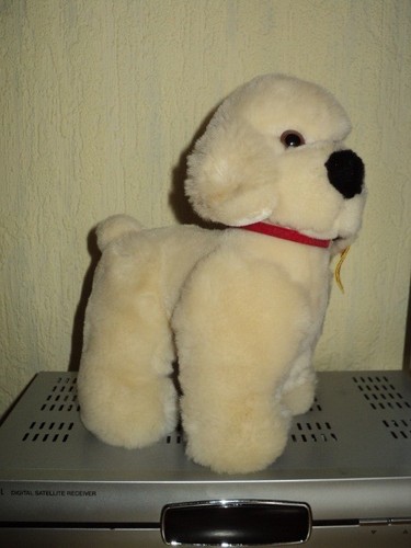 Steiff hund pudel 80iger - ,