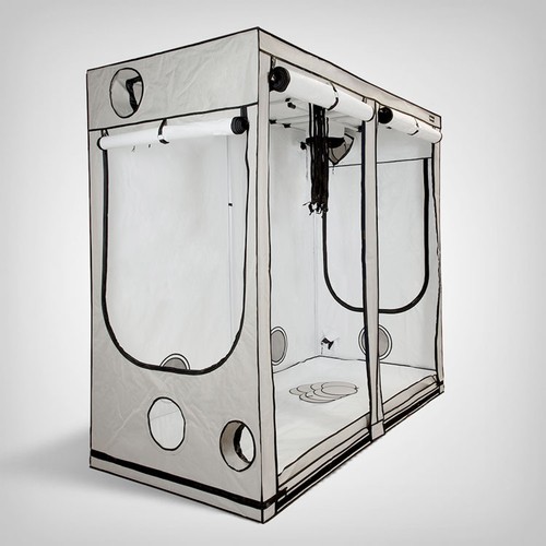 Homebox ambient r240 - homebox,