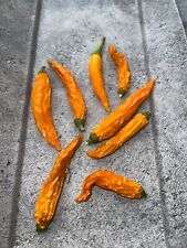 Thai orange Hot  Chili Samen ertragreiche Sorte aus Thailand