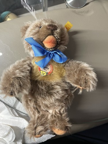 Steiff teddy zotty - teddy,