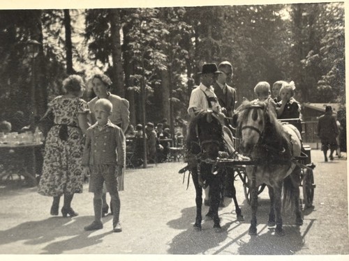 Foto ponykutsche kinder - 🐴,