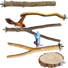 5 Stück Natur Vögel