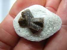 Schöner staurolith kristall - schöner, (